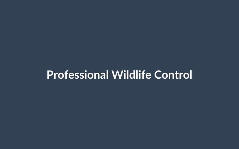 A professional wildlife control service van parked in a residential neighborhood.